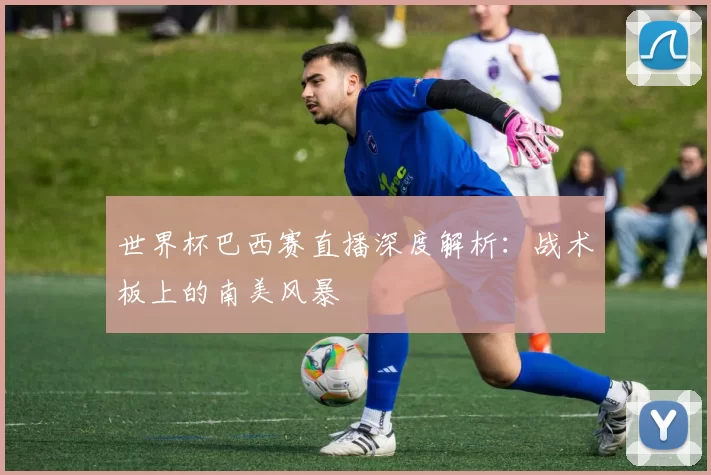 世界杯巴西赛直播深度解析:战术板上的南美风暴