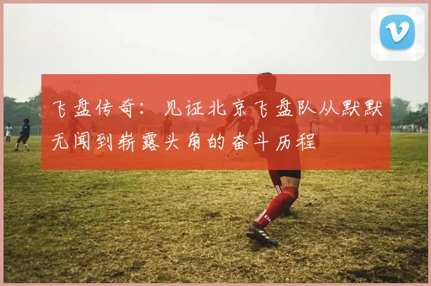 飞盘传奇：见证北京飞盘队从默默无闻到崭露头角的奋斗历程