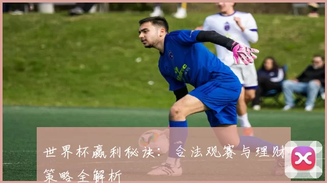 世界杯赢利秘诀:合法观赛与理财策略全解析