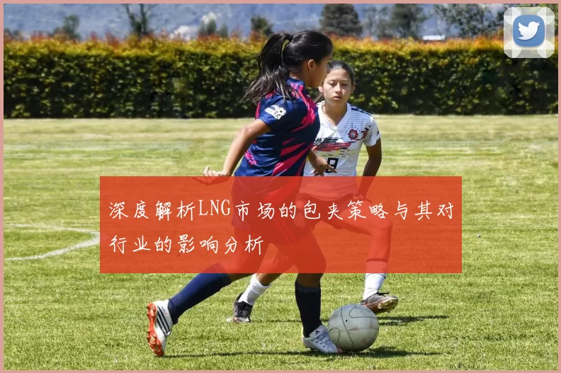 深度解析LNG市场的包夹策略与其对行业的影响分析