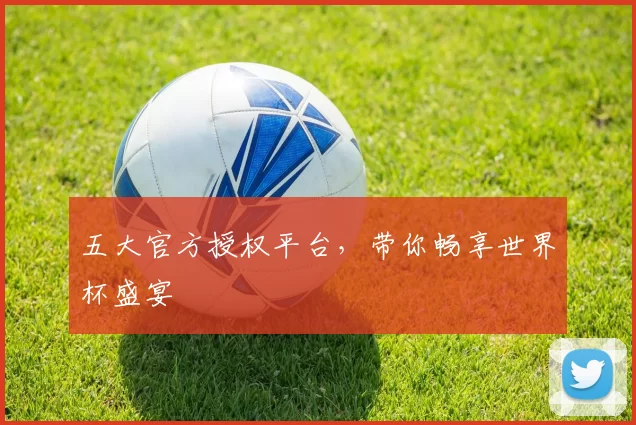五大官方授权平台，带你畅享世界杯盛宴