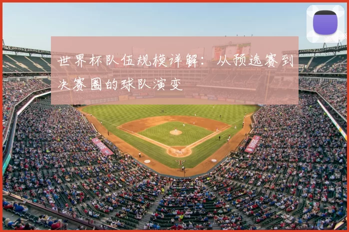 世界杯队伍规模详解：从预选赛到决赛圈的球队演变