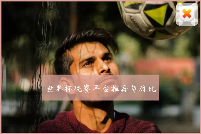 世界杯观赛平台推荐与对比