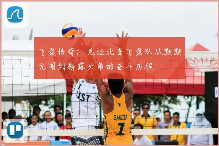 飞盘传奇：见证北京飞盘队从默默无闻到崭露头角的奋斗历程