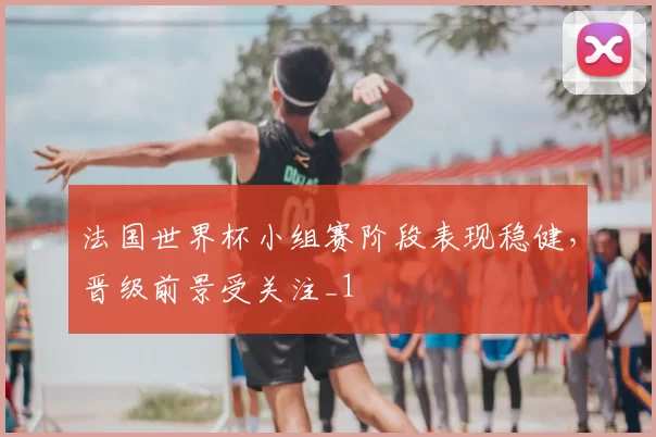 法国世界杯小组赛阶段表现稳健,晋级前景受关注_1