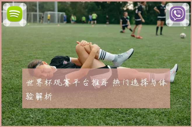 世界杯观赛平台推荐 热门选择与体验解析