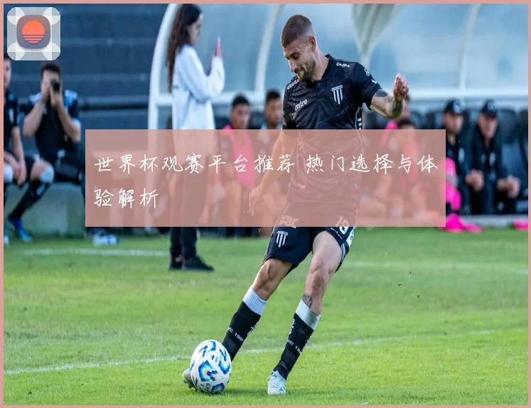世界杯观赛平台推荐 热门选择与体验解析
