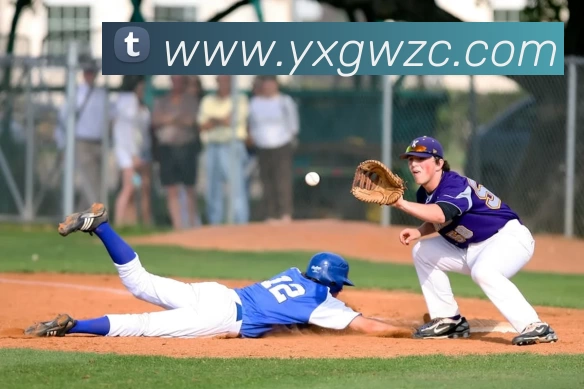 开云平台生态图